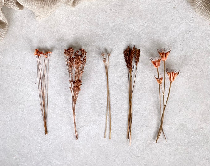 Dried flowers no. 3 DIY kit for crafts