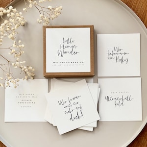 Pregnancy milestone cards EVIE