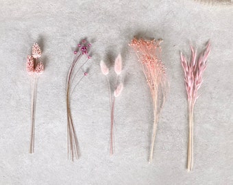 Dried flowers DIY set no. 2 for crafting