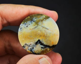 Multicolor Opalized Petrified Wood Gemstone