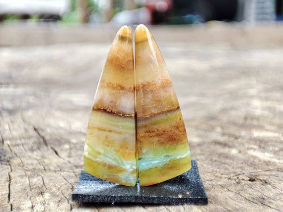 617 Natural PETRIFIED WOOD Jewelry Pair Petrified Wood for Earrings  Jewellery - Etsy