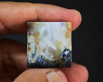 Multicolor Opalized Petrified Wood Gemstone