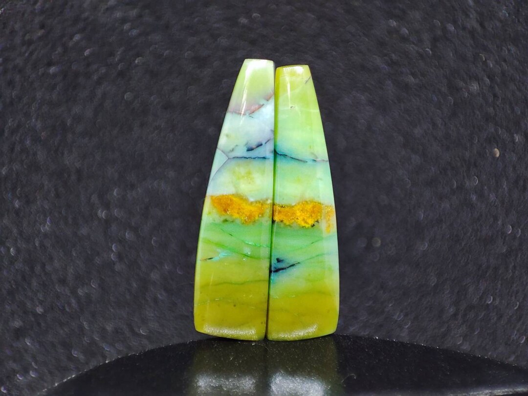 857 Natural Opalized Petrified Wood Pair Petrified Wood for Etsy
