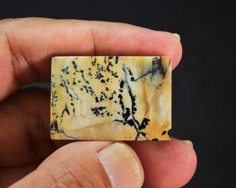 Scenic Multicolor Opalized Petrified Wood Dendrite Gemstone