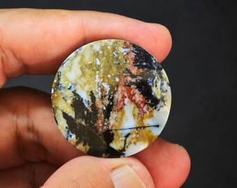 Multicolor Opalized Petrified Wood Gemstone