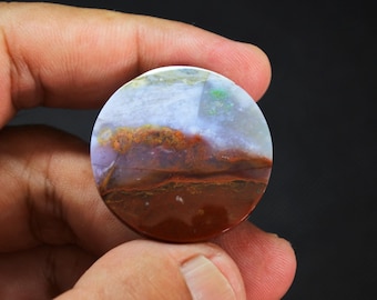 Multicolor Opalized Petrified Wood Gemstone