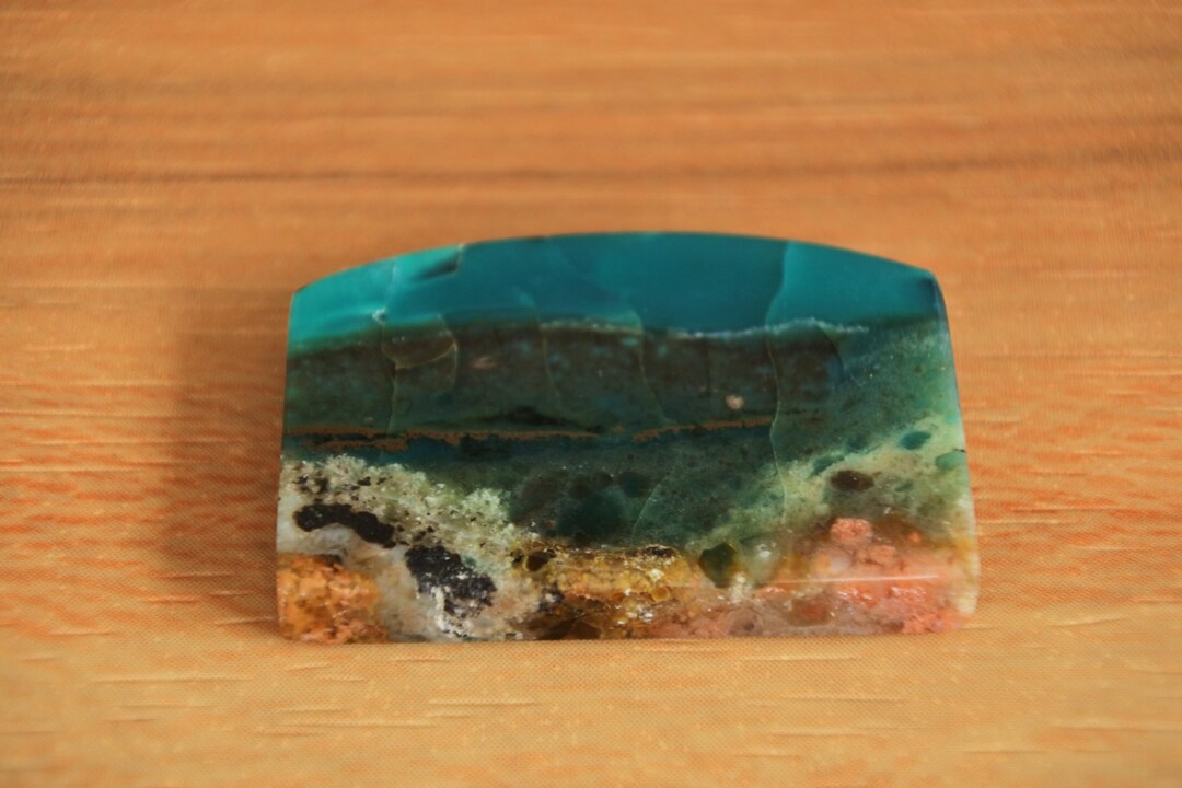 Multicolor Blue Opalized Petrified Wood - Etsy