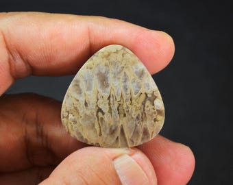 Multicolor Plume Agate Gemstone
