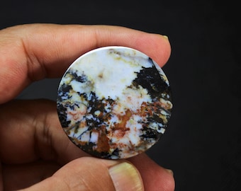 Scenic Multicolor Opalized Petrified Wood Gemstone