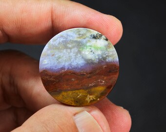 Multicolor Opalized Petrified Wood Gemstone
