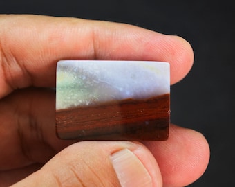 Multicolor Opalized Petrified Wood Gemstone