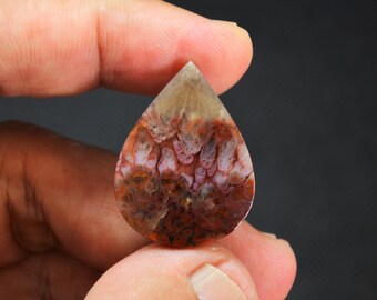 Multicolor Plume Agate Gemstone