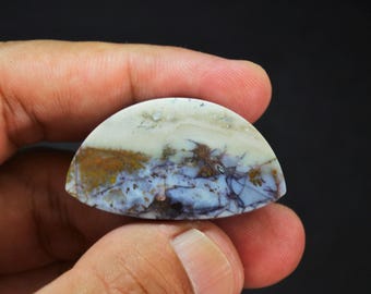Multicolor Opalized Petrified Wood Gemstone