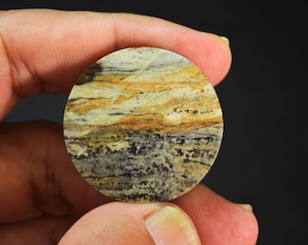 Scenic Multicolor Opalized Petrified Wood Gemstone