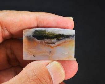 Scenic Multicolor Opalized Petrified Wood Gemstone