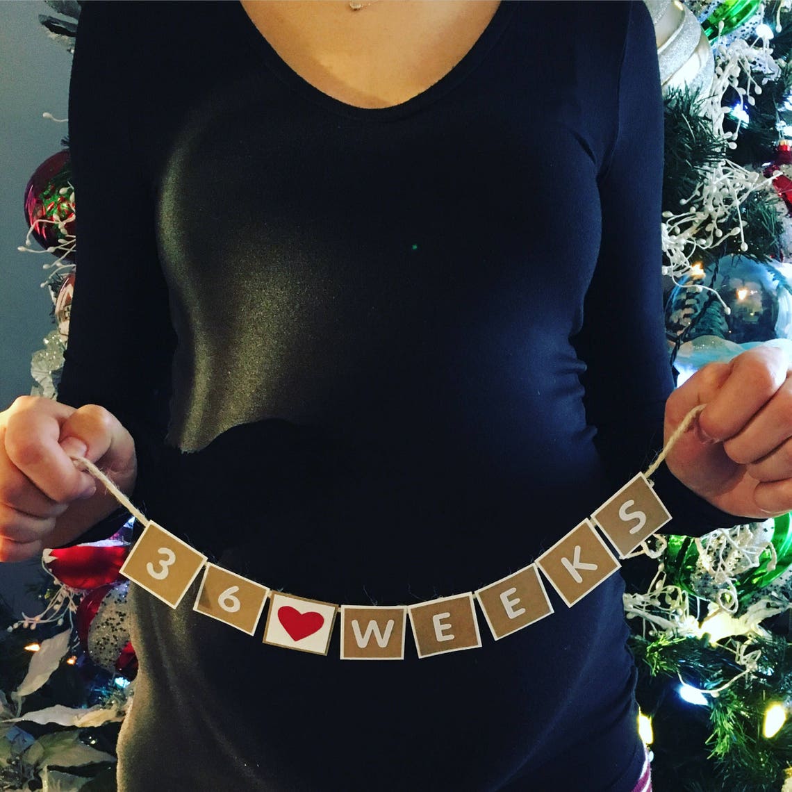 Pregnancy banner weekly pregnancy pictures pregnancy Etsy