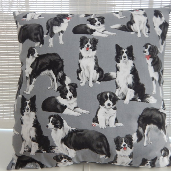 Coussin, Border Collie