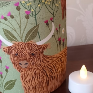Lantern, Highland Cow