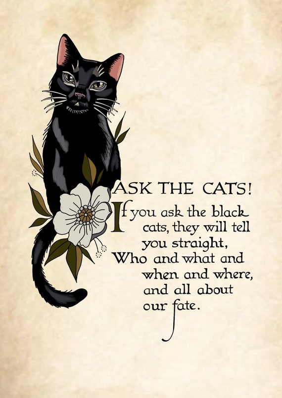 Black Cat Quotes