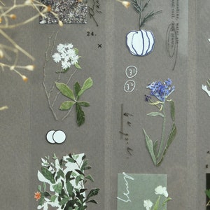 SomesortofFern van 100 cm – Days with Flowers – glanzende PET-tape/ moderne afplaktape voor journaling/scrapbooking/ cadeaus voor haar