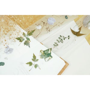 Ruban adhésif PET mat Mr.Eggplant, The Old Leaves, 100 cm // Ruban adhésif PET vintage pour journalisation, ruban transparent pour scrapbooking