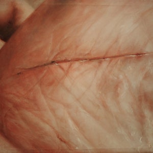 Cut, Matted Print