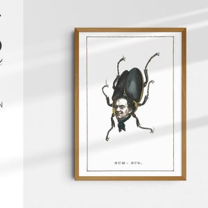 Hum-Bug - 1850s Comic Natural History Human Race Print | Vintage Satire Art | Victorian Humor Wall Decor