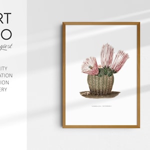 Impresión antigua de cactus Echinocactus / Reimpresión de ilustración botánica del siglo XIX / Arte mural vintage con suculentas de una rara colección francesa de cactus