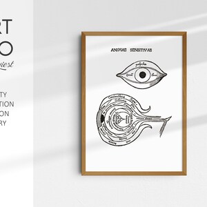 May include: A framed print with detailed black and white anatomical drawings of the eye. The text "ANIMAS SENSITIVAB" is at the top. The print is from KG ART STUDIO, offering fine art quality and global delivery.