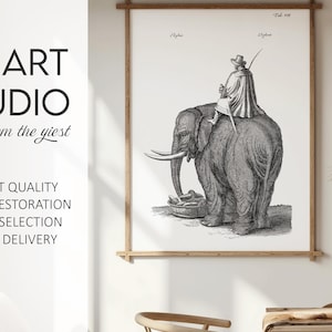 Elephant Natural History Print | 1600s Animal Engraving Reprint | Vintage Scientific Animal Illustration