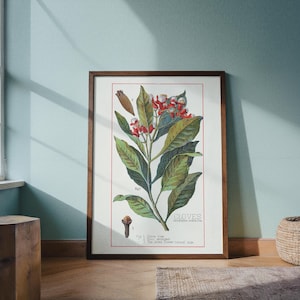 May include: A framed botanical print depicting cloves. The artwork shows a detailed illustration of a clove plant with green leaves, red flowers, and a clove bud. The print is in a dark brown wooden frame and is labelled "CLOVES" in the bottom right corner.