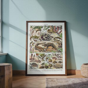 May include: A framed vintage print featuring various reptiles, including snakes, lizards, and turtles. The artwork is in a brown wooden frame and is displayed against a light blue wall. The print has a detailed, educational style.