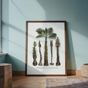 May include: A framed botanical print featuring detailed illustrations of various palm tree species. The artwork showcases the trees in shades of green and brown, set against a white background, and is encased in a dark wooden frame.