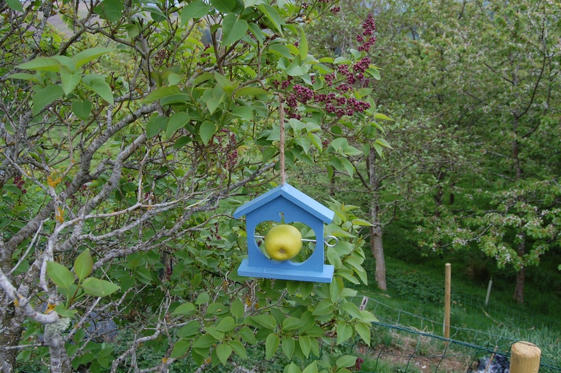Periwinkle Blue Wooden Bird Feeder Gardening Gifts Etsy