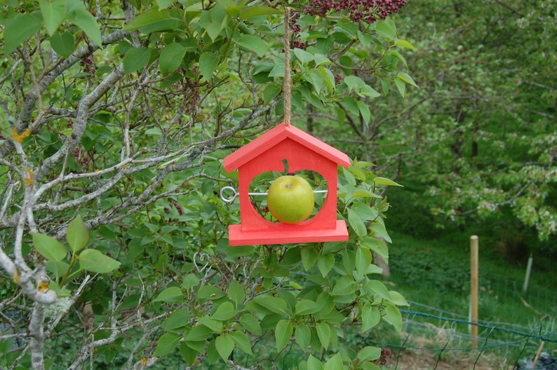 Sun Burnt Orange Wooden Bird Feeder Gardening Gifts Etsy