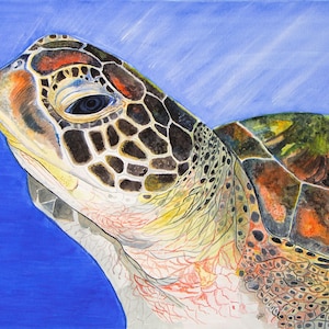 Wanderer-Sea Turtle Printed Card