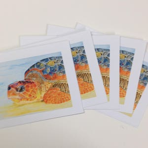 Golden Girl-Seat Schildkröte Karten-5er Pack