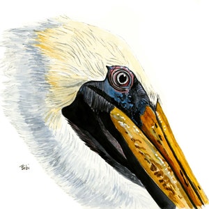 Carta stampa digitale Pelican Season