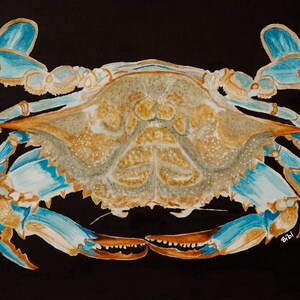 Cartão de impressão digital Blue Crab I-5x6,5"