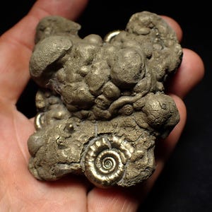 May include: A set of three ceramic mugs with a speckled, matte finish. The mugs are in shades of cream, light brown, and dark brown. Each mug has a simple, minimalist design, perfect for coffee or tea.