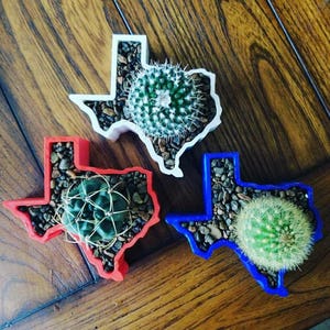 Texas Shaped Planter Pot | Succulent Planter | Cactus Planter | Home Decor | Texas Gift