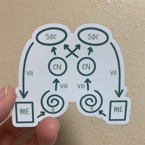 Audiology auditory pathway anatomy magnet