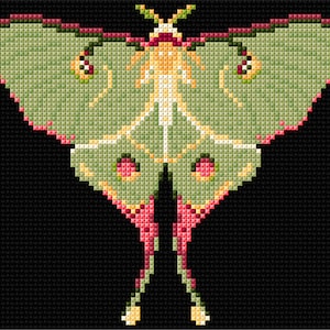 May include: A green and pink cross-stitch pattern of a luna moth with white and yellow accents.
