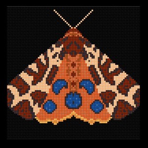 May include: A cross-stitch design of a moth against a black background. The moth features a detailed pattern in shades of brown, tan, orange, and blue. The wings are spread, and the antennae are visible at the top. The design is made up of small, square stitches.