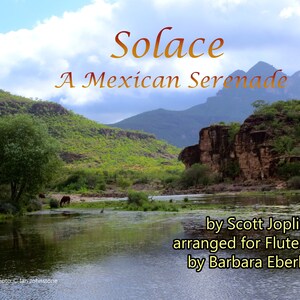 Solace for Flute Choir - Sheet Music Digital Download