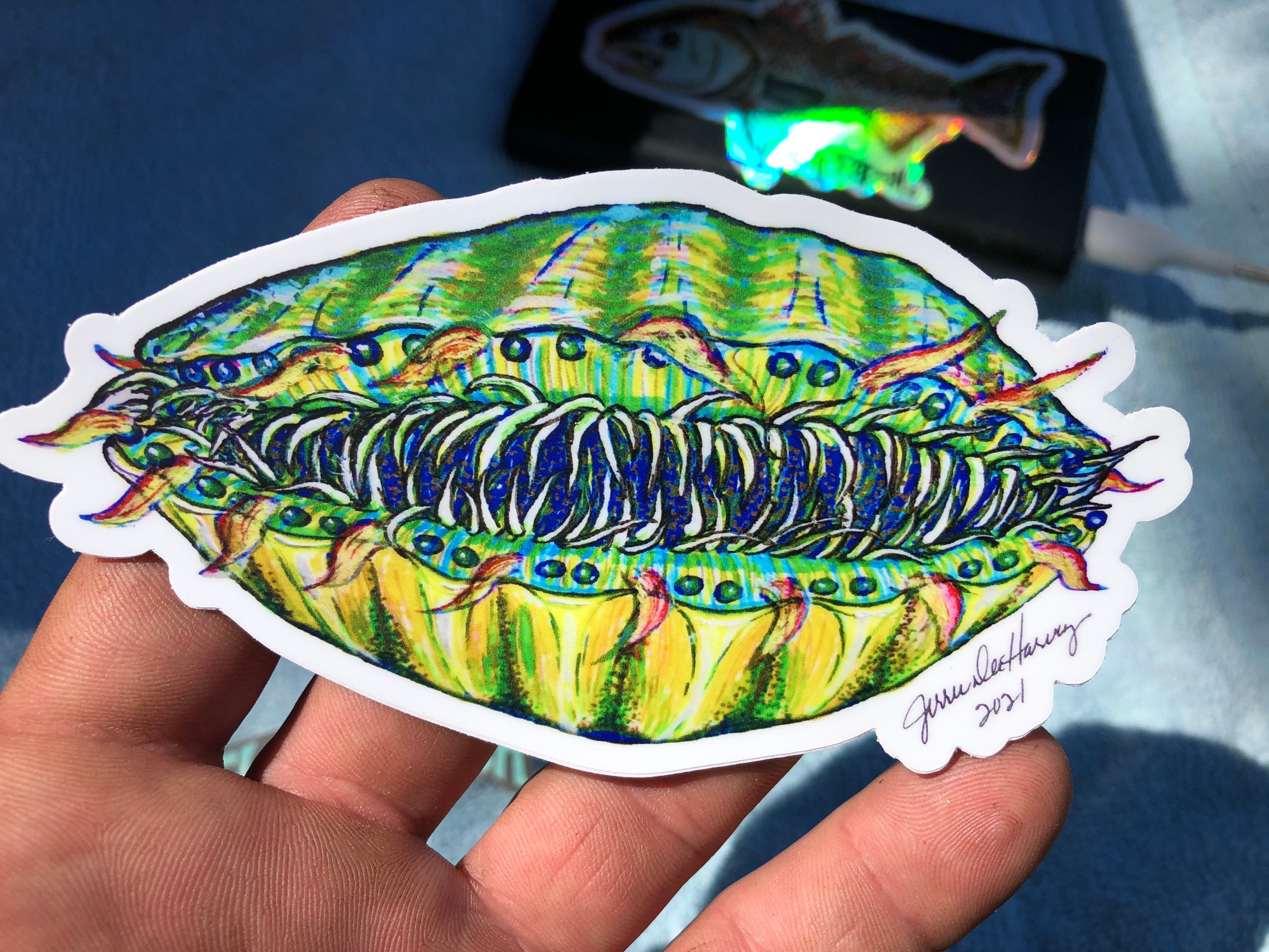 Blue Eyed Scallop Sticker 5 Inch | Etsy