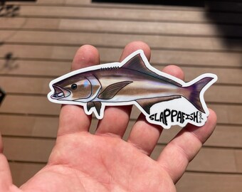 Cobia Sticker, 5 Inch