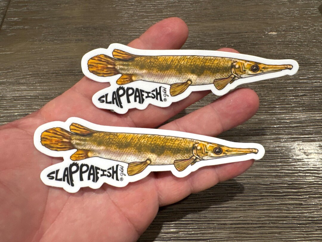 Baby Alligator Gar Sticker, 2 Pack, 5 Inch, UV Resistant - Etsy