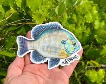 Bluegill Sticker 5 Inch