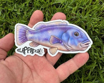 Tautog Sticker, 5 Inch